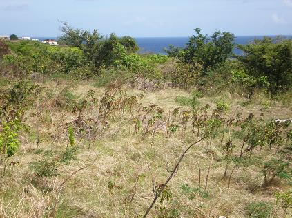 Ocean view from property with Union District